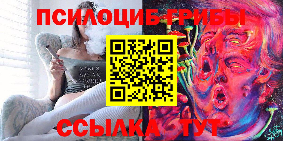 Галлюциногенные грибы Psilocybine cubensis Ипатово